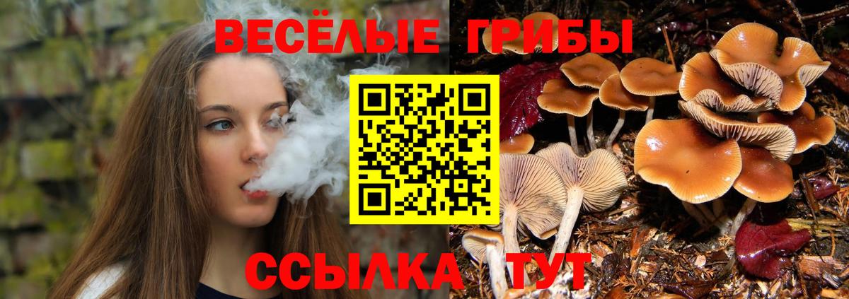 Галлюциногенные грибы GOLDEN TEACHER  Вход с VPN  наркотики  Советский 